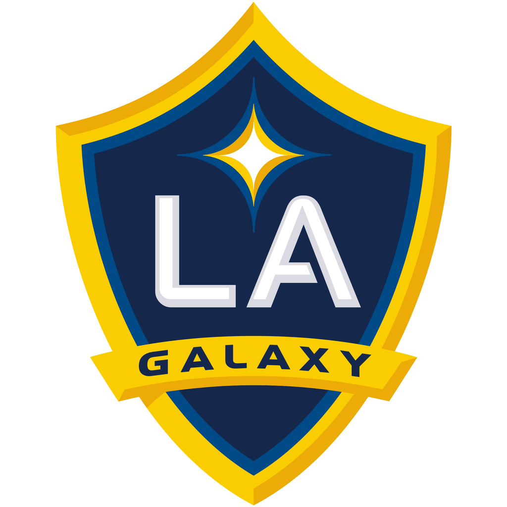 LA Galaxy - Designs by Chad & Jake