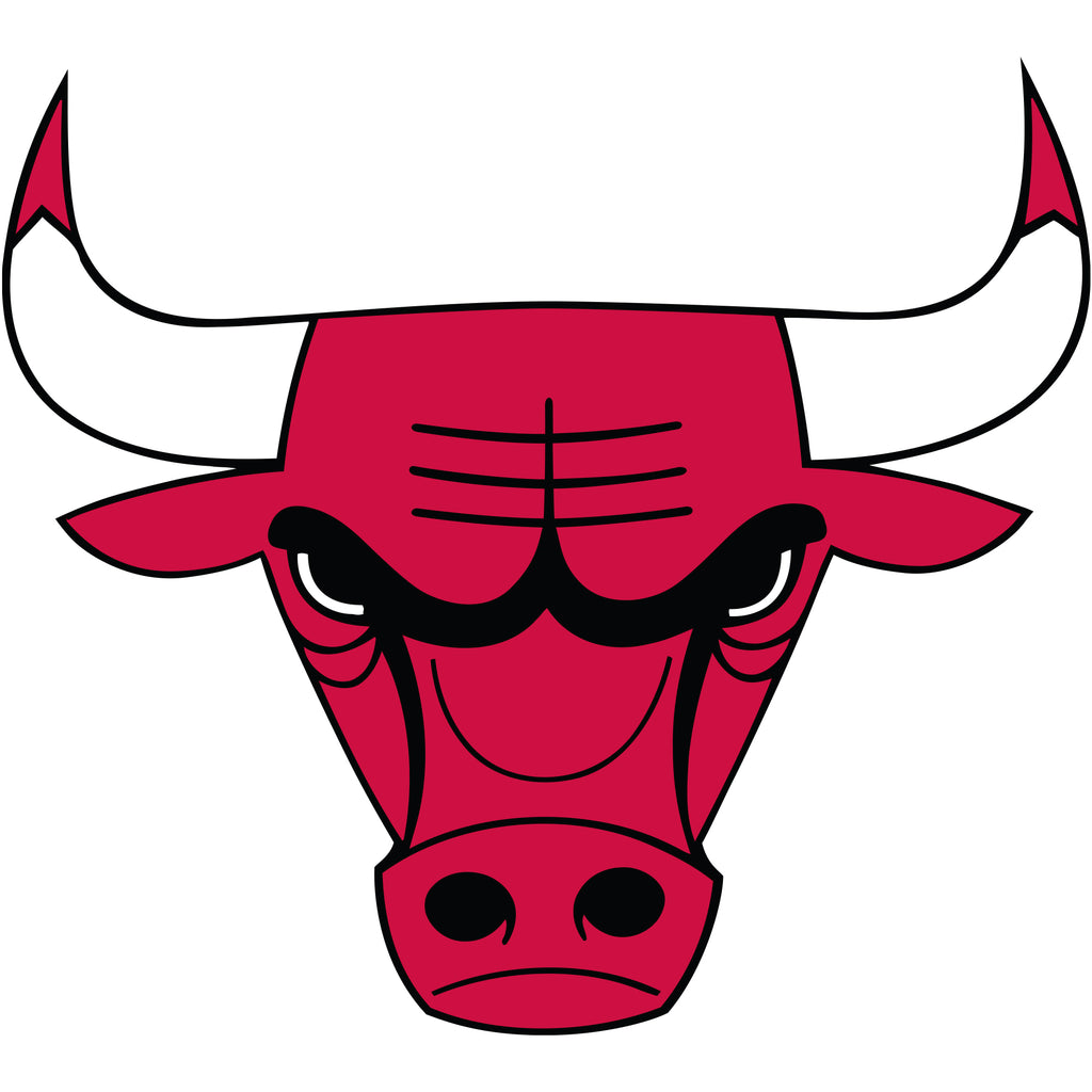 Chicago Bulls - Designs by Chad & Jake